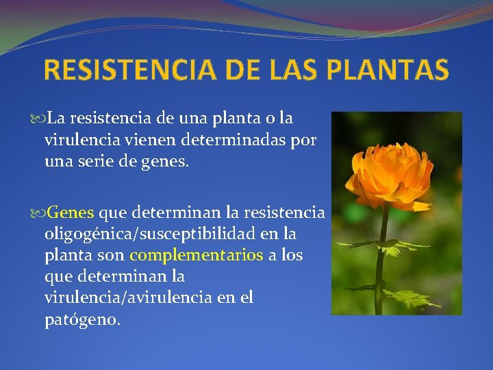 RESISTENCIA DE LAS PLANTAS La resistencia de una planta o la virulencia vienen determinadas