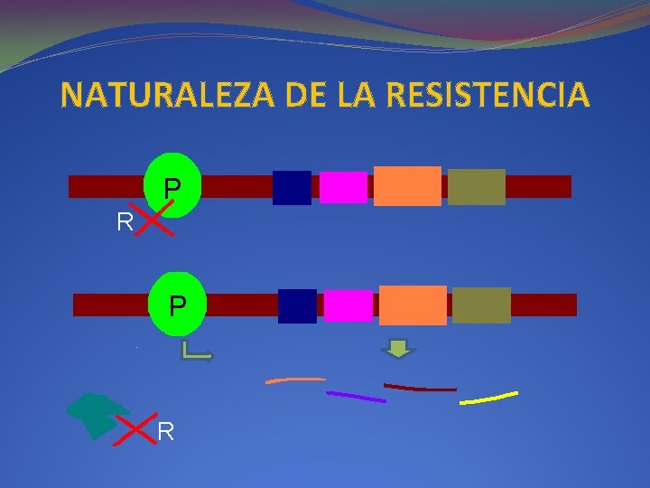 NATURALEZA DE LA RESISTENCIA P R 