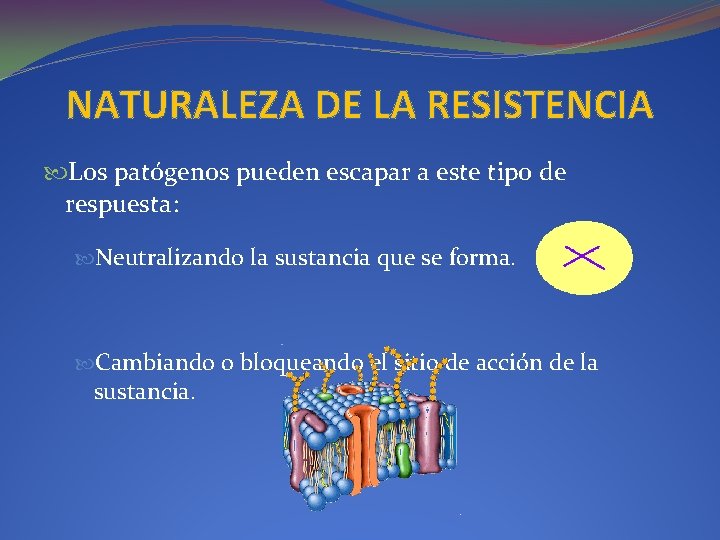 NATURALEZA DE LA RESISTENCIA Los patógenos pueden escapar a este tipo de respuesta: Neutralizando