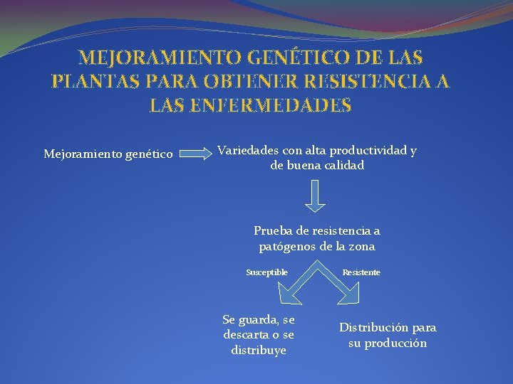 MEJORAMIENTO GENÉTICO DE LAS PLANTAS PARA OBTENER RESISTENCIA A LAS ENFERMEDADES Mejoramiento genético Variedades