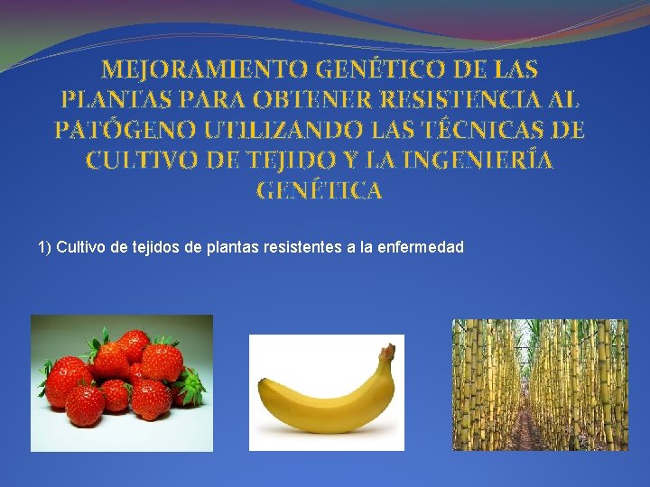 MEJORAMIENTO GENÉTICO DE LAS PLANTAS PARA OBTENER RESISTENCIA AL PATÓGENO UTILIZANDO LAS TÉCNICAS DE