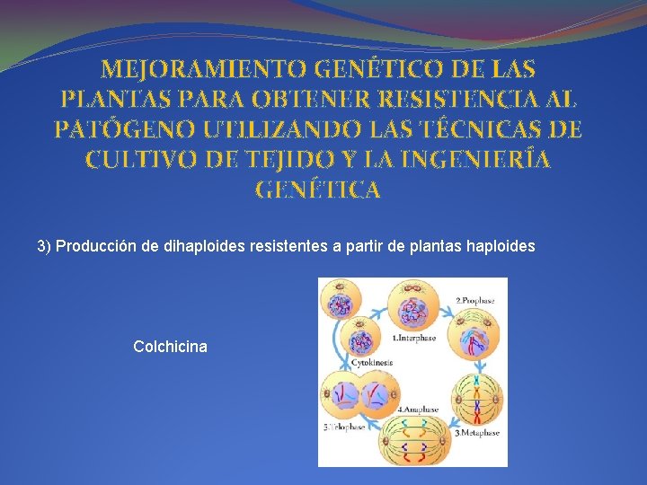 MEJORAMIENTO GENÉTICO DE LAS PLANTAS PARA OBTENER RESISTENCIA AL PATÓGENO UTILIZANDO LAS TÉCNICAS DE