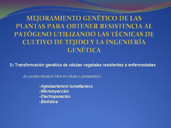 MEJORAMIENTO GENÉTICO DE LAS PLANTAS PARA OBTENER RESISTENCIA AL PATÓGENO UTILIZANDO LAS TÉCNICAS DE