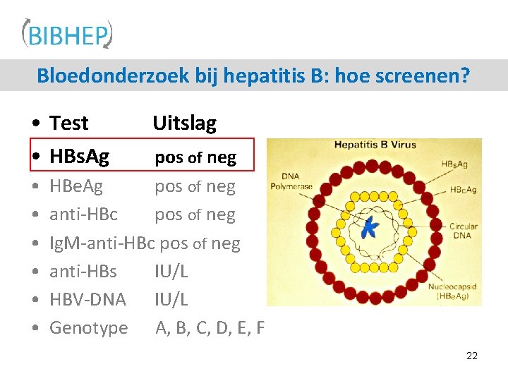 Bloedonderzoek bij hepatitis B: hoe screenen? • Test • HBs. Ag • • •