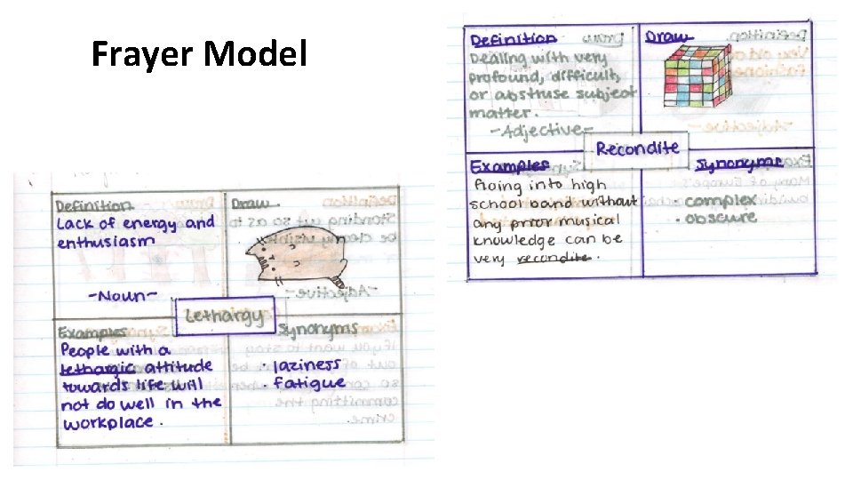 Frayer Model 