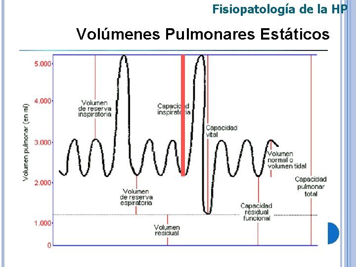 Fisiopatología de la HP Volúmenes Pulmonares Estáticos 