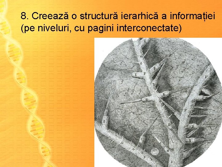 8. Creează o structură ierarhică a informației (pe niveluri, cu pagini interconectate) 