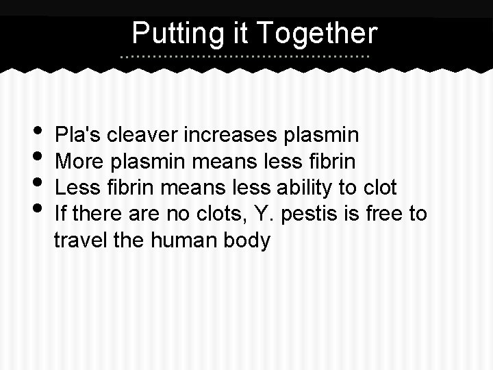 Putting it Together • • Pla's cleaver increases plasmin More plasmin means less fibrin