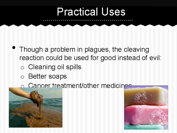 Practical Uses • Though a problem in plagues, the cleaving reaction could be used