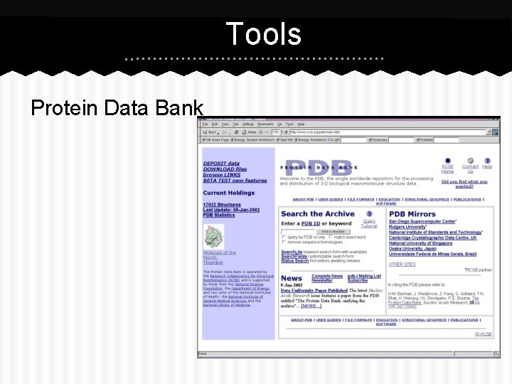 Tools Protein Data Bank 