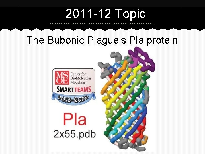 2011 -12 Topic The Bubonic Plague's Pla protein 