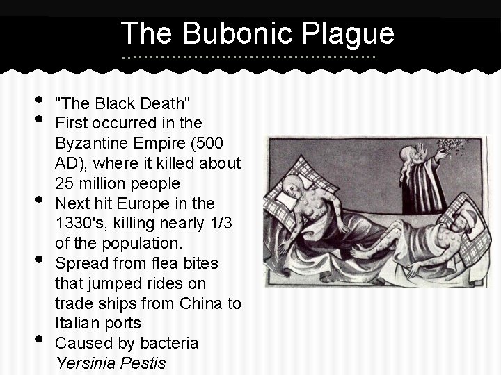 The Bubonic Plague • • • "The Black Death" First occurred in the Byzantine