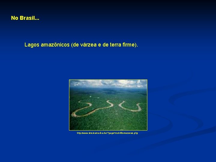 No Brasil. . . Lagos amazônicos (de várzea e de terra firme). http: //www.