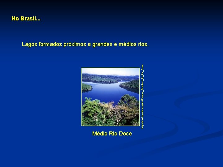 No Brasil. . . http: //pt. wikipedia. org/wiki/Parque_Estadual_do_Rio_Doce Lagos formados próximos a grandes e