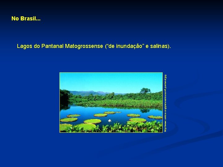 No Brasil. . . http: //www. ramsar. org/pictures/screen 4 -pantanal. jpg Lagos do Pantanal