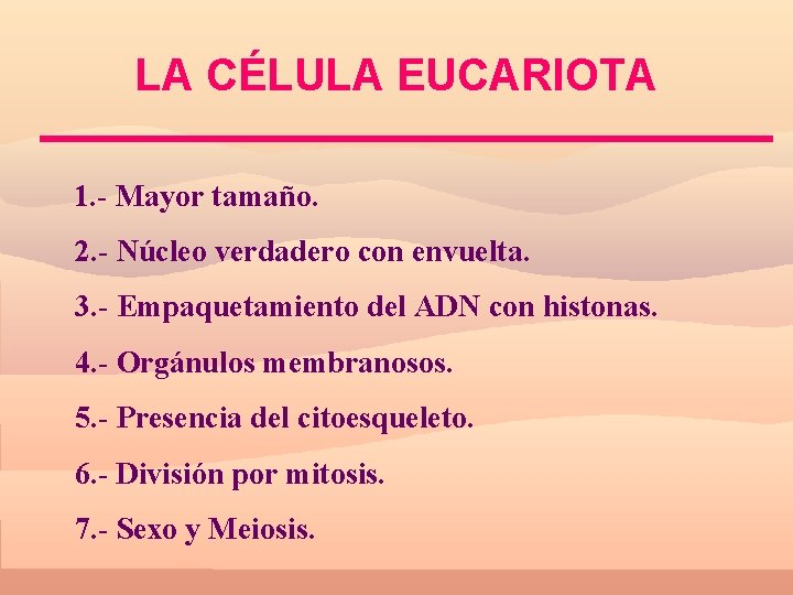 LA CÉLULA EUCARIOTA 1. - Mayor tamaño. 2. - Núcleo verdadero con envuelta. 3.