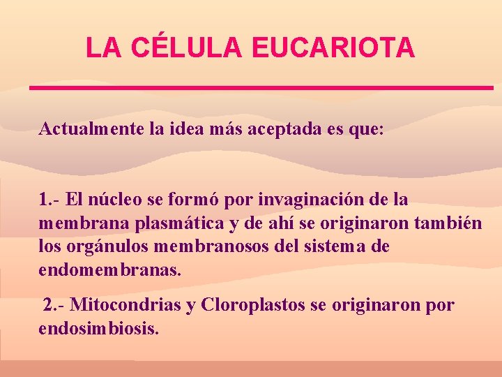 LA CÉLULA EUCARIOTA Actualmente la idea más aceptada es que: 1. - El núcleo