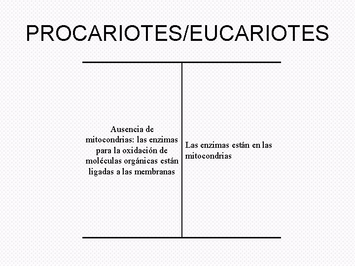PROCARIOTES/EUCARIOTES Ausencia de mitocondrias: las enzimas Las enzimas están en las para la oxidación