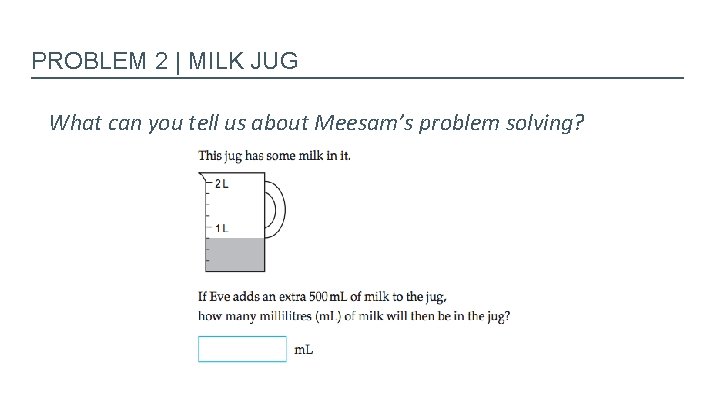 PROBLEM 2 | MILK JUG What can you tell us about Meesam’s problem solving?