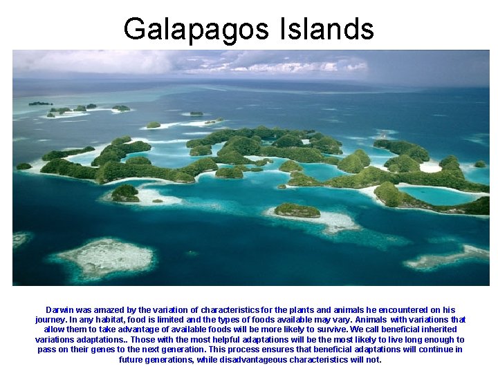 Galapagos Islands Darwin was amazed by the variation of characteristics for the plants and