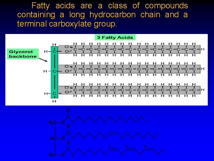  Fatty acids are a class of compounds containing a long hydrocarbon chain and