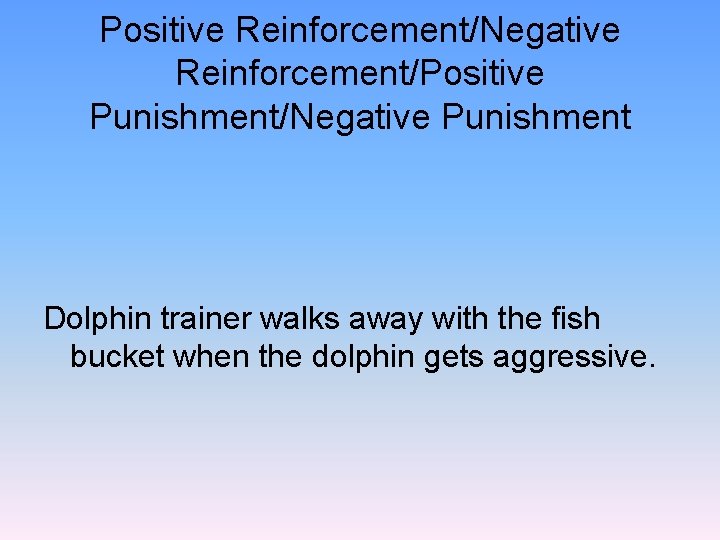 Positive Reinforcement/Negative Reinforcement/Positive Punishment/Negative Punishment Dolphin trainer walks away with the fish bucket when