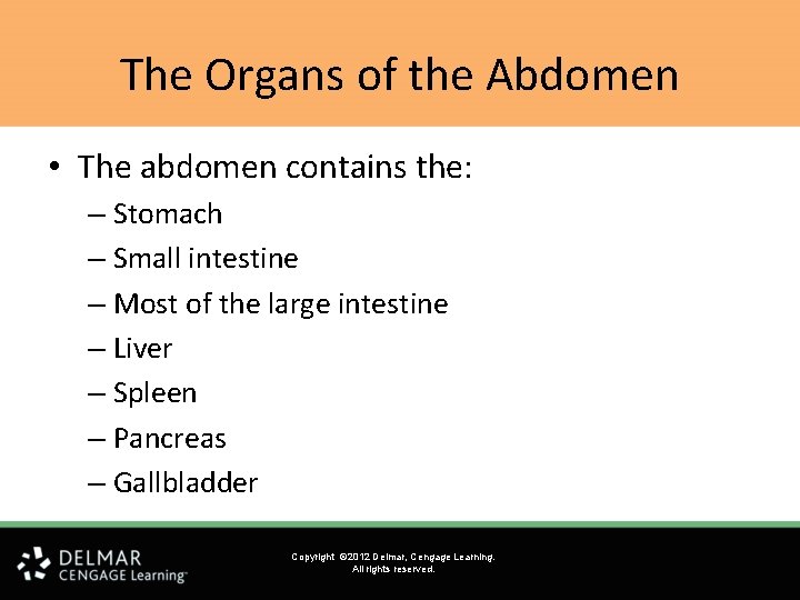 The Organs of the Abdomen • The abdomen contains the: – Stomach – Small The Organs of the Abdomen • The abdomen contains the: – Stomach – Small