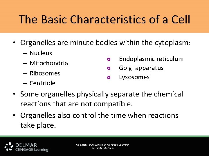 The Basic Characteristics of a Cell • Organelles are minute bodies within the cytoplasm: The Basic Characteristics of a Cell • Organelles are minute bodies within the cytoplasm: