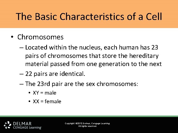 The Basic Characteristics of a Cell • Chromosomes – Located within the nucleus, each The Basic Characteristics of a Cell • Chromosomes – Located within the nucleus, each
