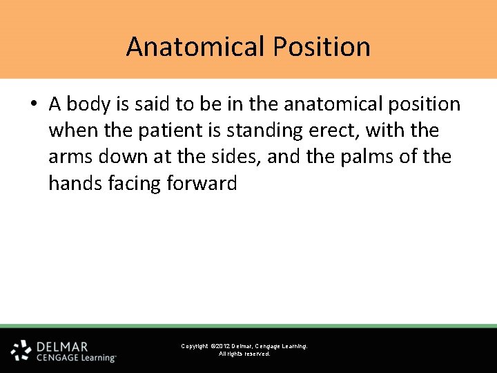 Anatomical Position • A body is said to be in the anatomical position when Anatomical Position • A body is said to be in the anatomical position when