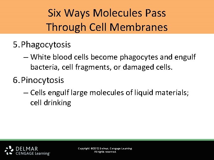 Six Ways Molecules Pass Through Cell Membranes 5. Phagocytosis – White blood cells become Six Ways Molecules Pass Through Cell Membranes 5. Phagocytosis – White blood cells become