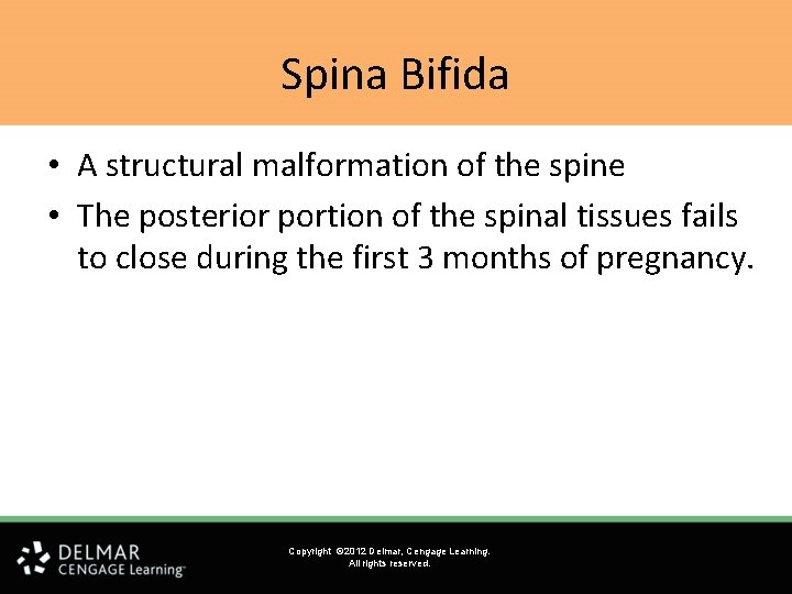 Spina Bifida • A structural malformation of the spine • The posterior portion of Spina Bifida • A structural malformation of the spine • The posterior portion of