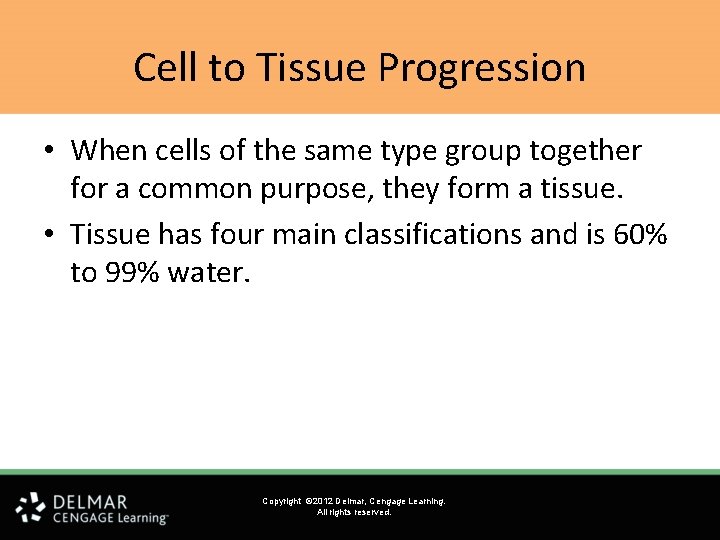 Cell to Tissue Progression • When cells of the same type group together for Cell to Tissue Progression • When cells of the same type group together for