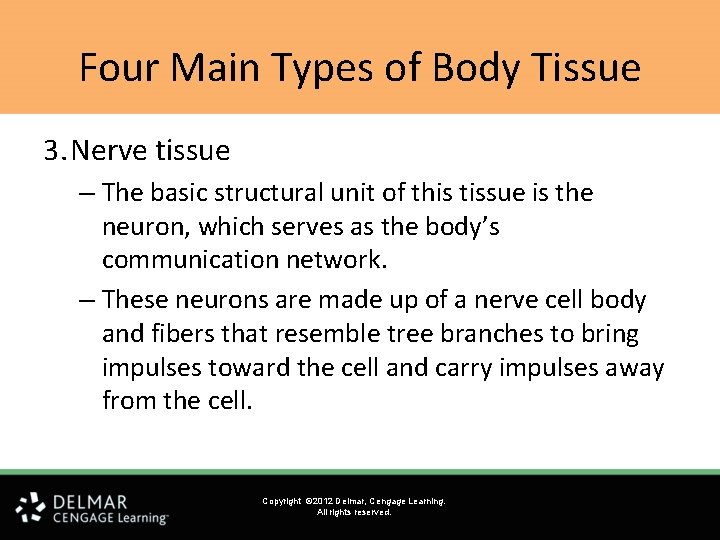 Four Main Types of Body Tissue 3. Nerve tissue – The basic structural unit Four Main Types of Body Tissue 3. Nerve tissue – The basic structural unit