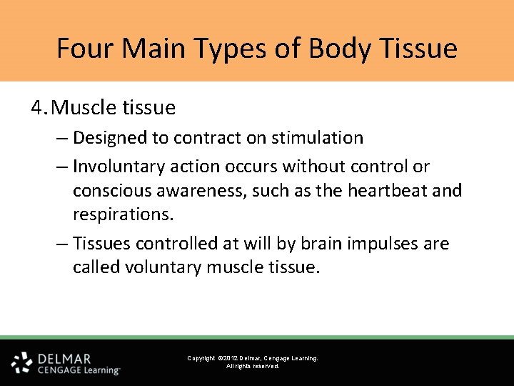 Four Main Types of Body Tissue 4. Muscle tissue – Designed to contract on Four Main Types of Body Tissue 4. Muscle tissue – Designed to contract on