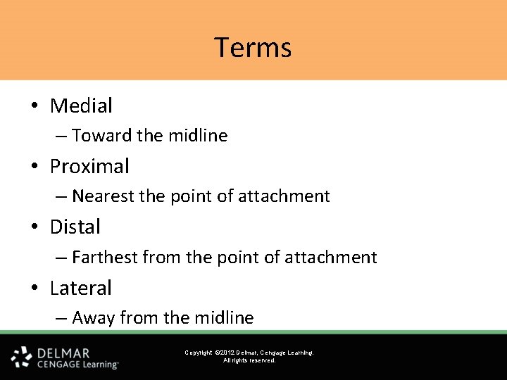 Terms • Medial – Toward the midline • Proximal – Nearest the point of Terms • Medial – Toward the midline • Proximal – Nearest the point of