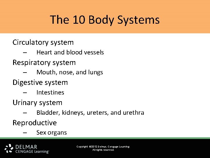The 10 Body Systems Circulatory system – Heart and blood vessels Respiratory system – The 10 Body Systems Circulatory system – Heart and blood vessels Respiratory system –