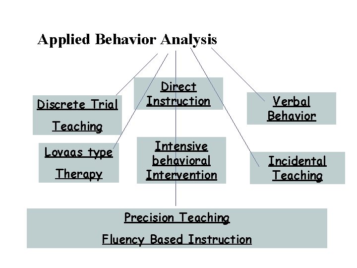 Applied Behavior Analysis Discrete Trial Direct Instruction Teaching Lovaas type Therapy Intensive behavioral Intervention