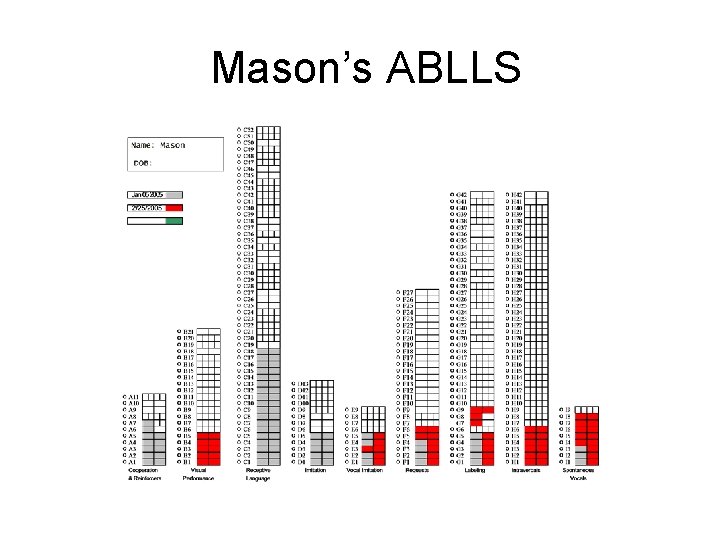  Mason’s ABLLS 