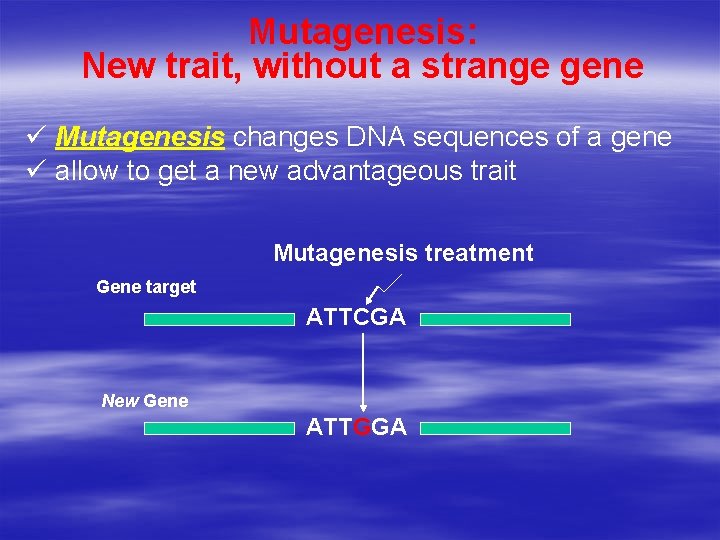 Mutagenesis: New trait, without a strange gene ü Mutagenesis changes DNA sequences of a