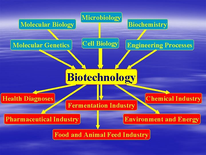 Molecular Biology Molecular Genetics Microbiology Cell Biology Biochemistry Engineering Processes Biotechnology Health Diagnoses Fermentation