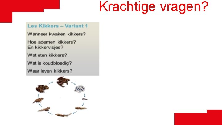 Krachtige vragen? 