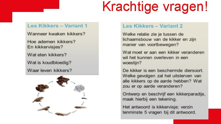 Krachtige vragen! 