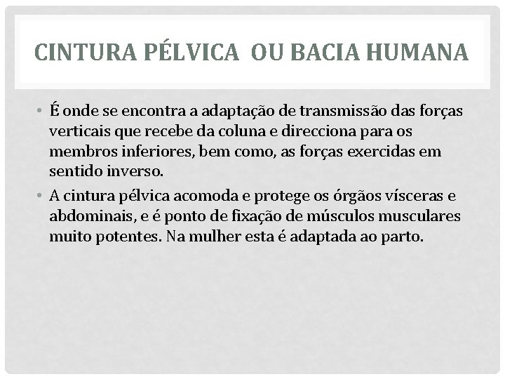 CINTURA PÉLVICA OU BACIA HUMANA • É onde se encontra a adaptação de transmissão