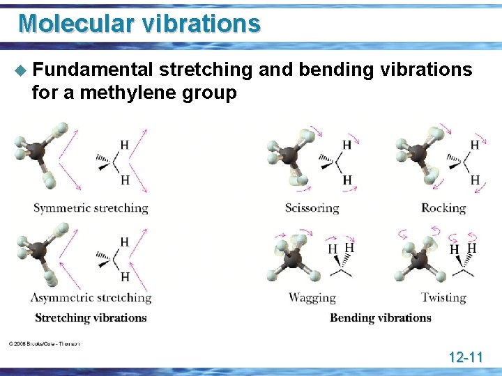 Molecular vibrations u Fundamental stretching and bending vibrations for a methylene group 12 -11