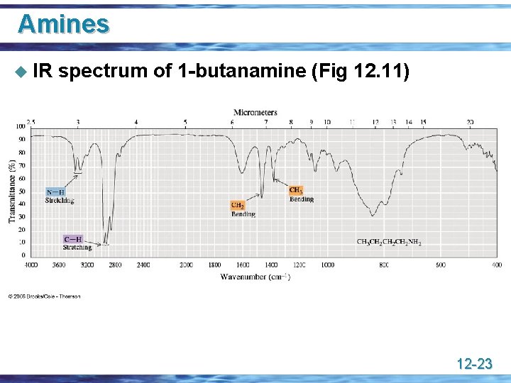 Amines u IR spectrum of 1 -butanamine (Fig 12. 11) 12 -23 