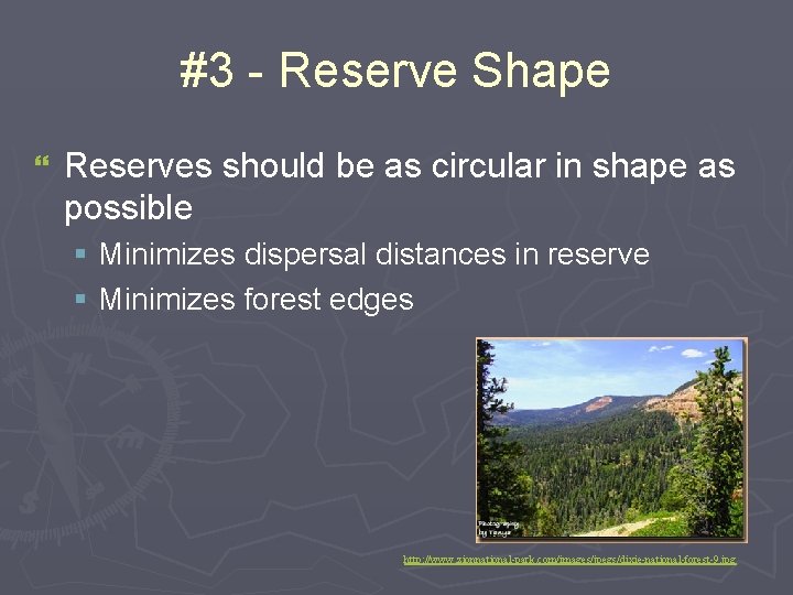 #3 - Reserve Shape } Reserves should be as circular in shape as possible