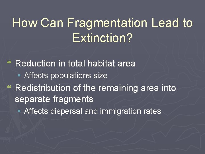 How Can Fragmentation Lead to Extinction? } Reduction in total habitat area § Affects