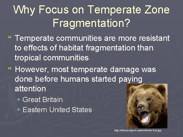 Why Focus on Temperate Zone Fragmentation? Temperate communities are more resistant to effects of