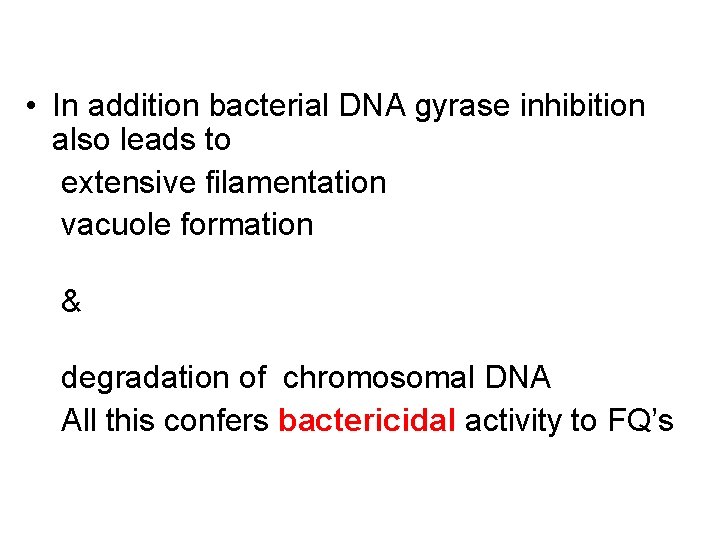  • In addition bacterial DNA gyrase inhibition also leads to extensive filamentation vacuole